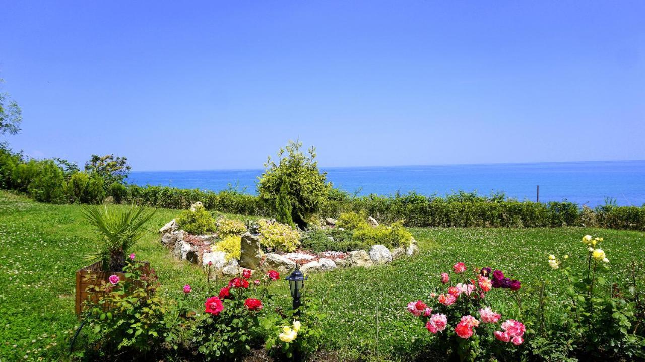 Бяла Клиф Форест - Byala Cliff Forest Byala (Varna) Exterior foto