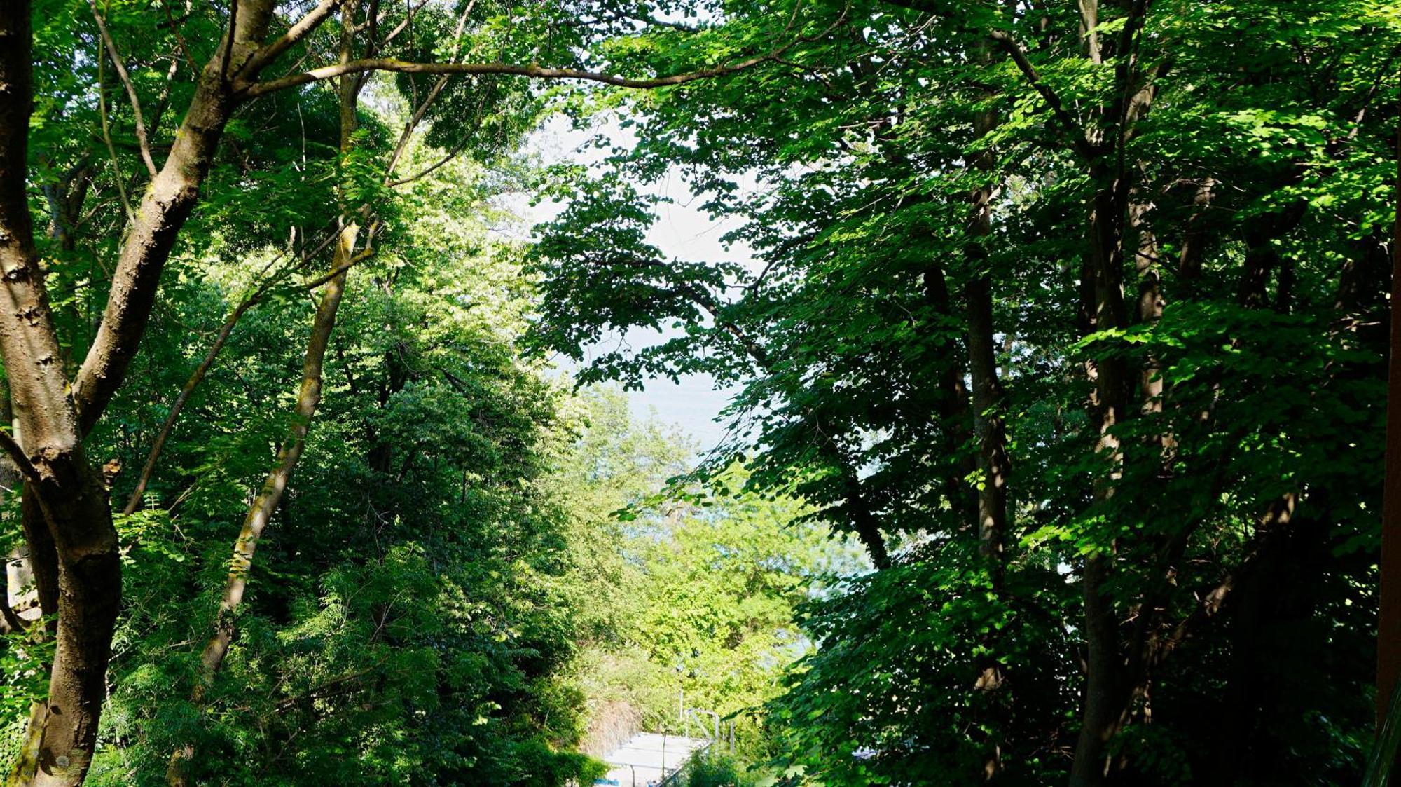 Бяла Клиф Форест - Byala Cliff Forest Byala (Varna) Exterior foto